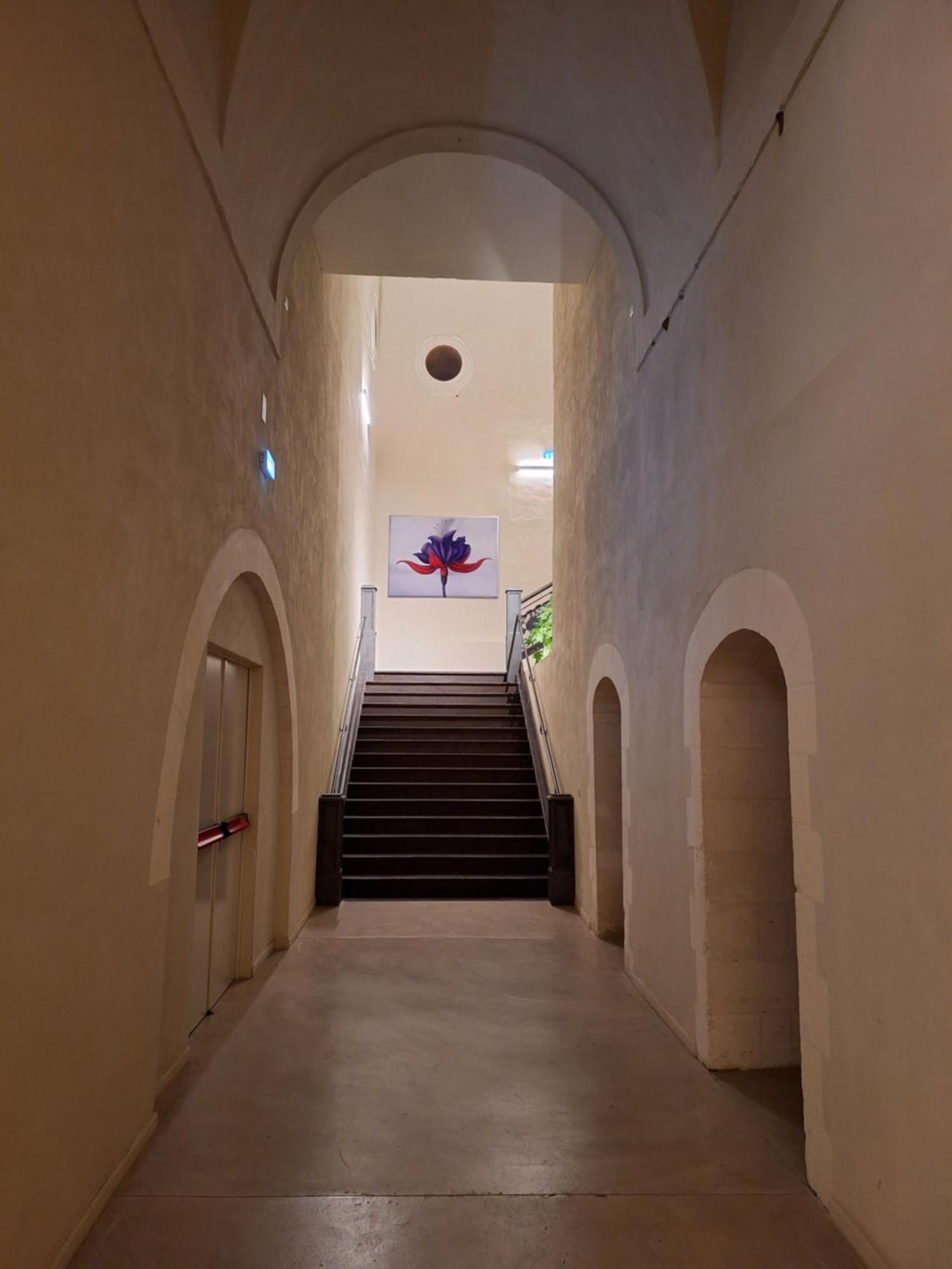 Chiostro Dei Domenicani - Dimora Storica Лечче Экстерьер фото
